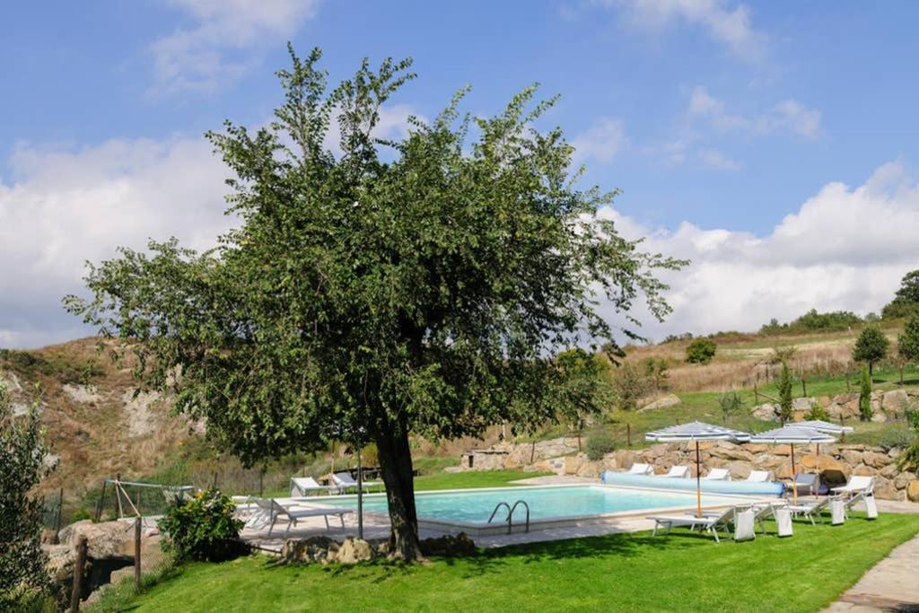 Girasole Cottage Overlooking The Orcia Valley In Tuscany Radicofani Exterior photo